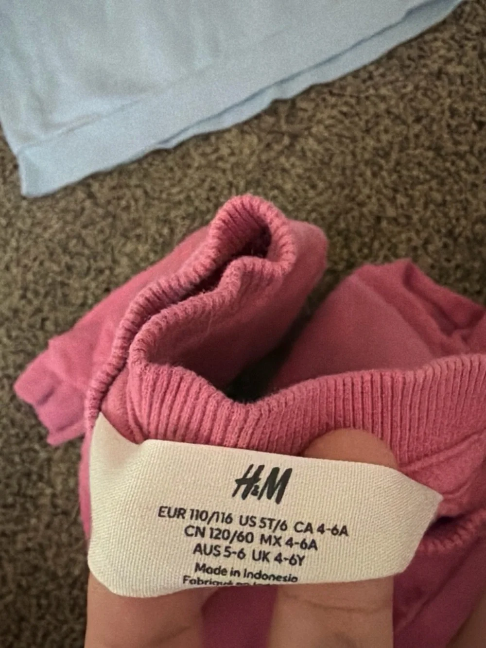H&M Kids Sweatshirt Duo in Pink and Light Blue
